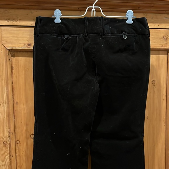 The Limited Velvet Pants - Picture 4 of 5